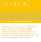 Мастурбатор нереалистичный CAPSULE 03 Kanoko